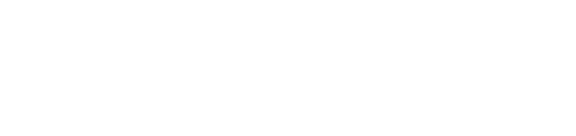 Corvelo – Technology Solutions & Services